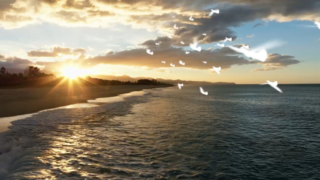 北海道の海と白い鳥が飛んでいくイメージ