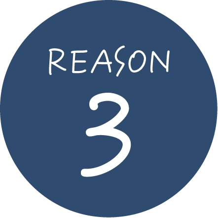 Reason 3